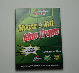 高效環(huán)保，廠家直銷——義烏綠亞環(huán)保粘鼠膠系列產(chǎn)品